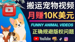 搬运TIKTOK视频到YouTube,并进行二次创作,月赚1万美元以上-享创网