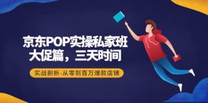 京东POP实操私家班：大促篇，3天时间，实战剖析-从零到百万爆款店铺-享创网