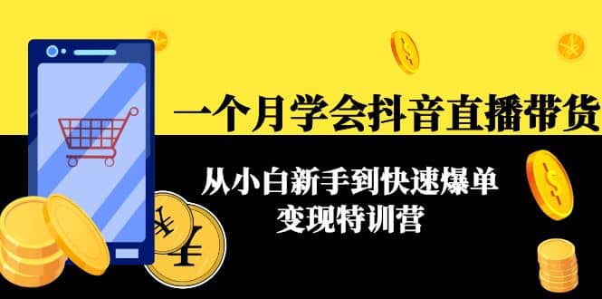 一个月学会抖音直播带货：从小白新手到快速爆单变现特训营(63节课)-享创网