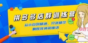 拼多多店群训练营:从小白到精通,只讲精华,剔除推销和废话-享创网