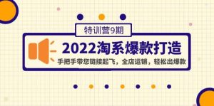 2022淘系爆款打造特训营9期:手把手带您链接起飞,全店运销,轻松出爆款-享创网