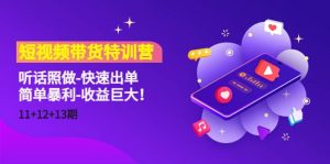 短视频带货特训营(11+12+13期)听话照做-快速出单-享创网