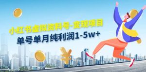 小红书虚拟资料号-变现项目:实操玩法分享-享创网