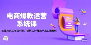 电商爆款运营系统课:迎接未来10年红利期,拆解100+爆款产品实操案例-享创网