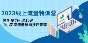 2023线上流量特训营：中小卖家流量破局技巧等等-享创网