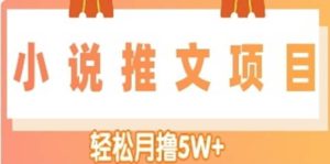 小说推文副业项目,另类进阶玩法-享创网