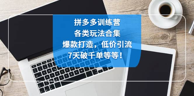 拼多多训练营：各玩法合集，爆款打造，低价引流，7天破千单等等-享创网