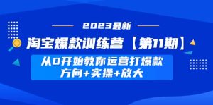 淘宝爆款训练营【第11期】 从0开始教你运营打爆款,方向+实操+放大-享创网