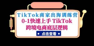 TikTok商家出海训练营：0-1快速上手 TikTok跨境电商底层逻辑(无水印)-享创网