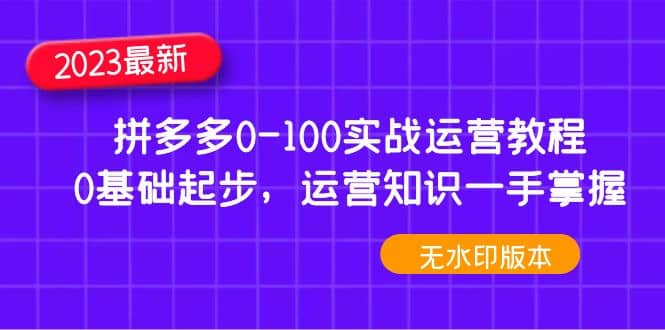 2023拼多多0-100实战运营教程，0基础起步，运营知识一手掌握（无水印）-享创网