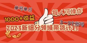 2023新细分领域带货计划:单号单日1000+收益不难,每人可操作3-5个账号-享创网