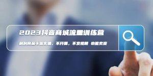 2023抖音商城流量班：利润商品卡流实操，不开播-不发视频-也能卖货(无水印)-享创网