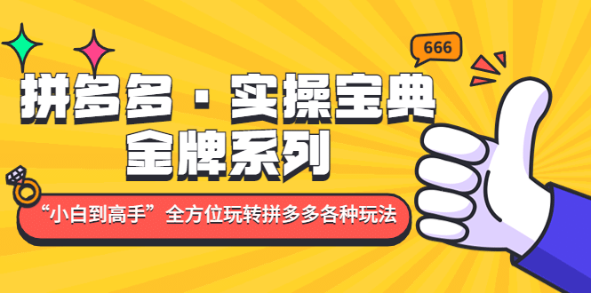 拼多多·实操宝典：金牌系列“小白到高手”带你全方位玩转拼多多各种玩法-享创网