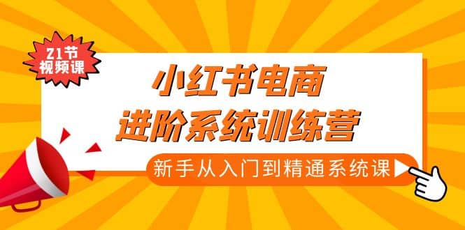 小红书电商进阶系统训练营：新手从入门到精通系统课（21节视频课）-享创网