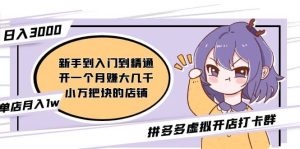 拼多多虚拟开店打卡群：新手到入门到精通-享创网