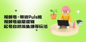视频号·带货Puls班，视频号底层逻辑，起号自然流鱼塘等玩法-享创网