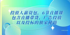 投放人薪资包，6节直播课，包含直播带货、广告投放、以及投标的独家秘籍-享创网