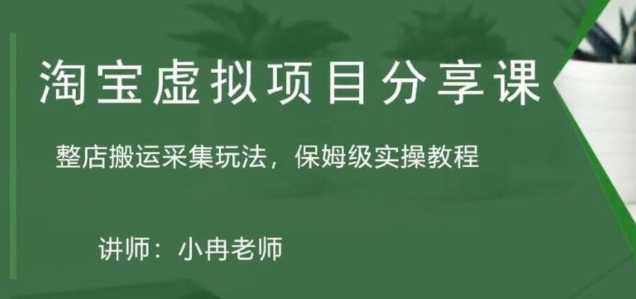 淘宝虚拟整店搬运采集玩法分享课：整店搬运采集玩法，保姆级实操教程-享创网