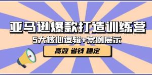 亚马逊爆款打造训练营：5大核心逻辑+案例展示 打造爆款链接 高效 省钱 稳定-享创网