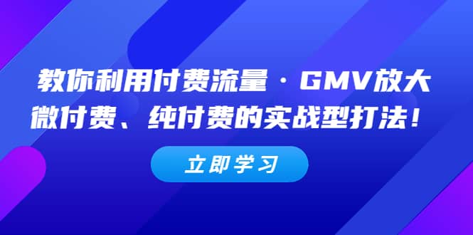 教你利用付费流量·GMV放大，微付费、纯付费的实战型打法-享创网