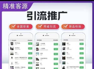 微信简单易上手引流方法,无门槛 小白即可操作 日引流300+【详细玩法教程】-享创网