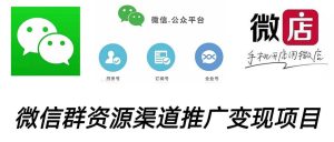 微信群码资源渠道内循环推广变现项目,多种变现方式,打通你的管道收益-享创网