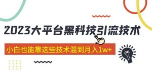 价值4899的2023大平台黑科技引流技术 29节课-享创网