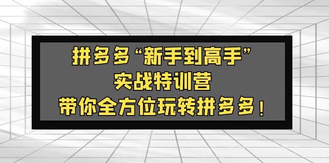 拼多多“新手到高手”实战特训营：带你全方位玩转拼多多-享创网