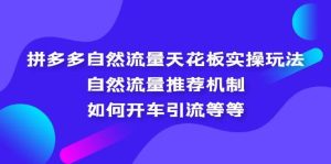 拼多多自然流量天花板实操玩法：自然流量推荐机制，如何开车引流等等-享创网