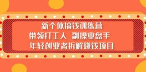 新个体搞钱训练营:带领打工人 副操业盘手 年轻创业者拆解赚钱项目-享创网