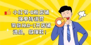 小红书·0粉店铺爆单特训营 带你从0-1开店铺,选品,做爆款(课程+工具包)-享创网