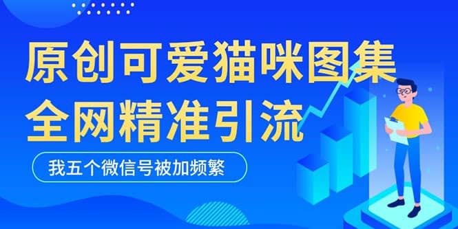 黑科技纯原创可爱猫咪图片，全网精准引流，实操5个VX号被加频繁-享创网