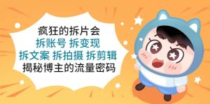 疯狂的拆片会：拆账号 拆变现 拆文案 拆拍摄 拆剪辑 揭秘博主的流量密码-享创网