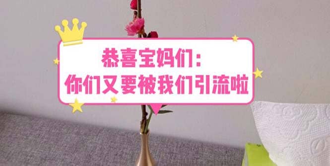 恭喜宝妈们：你们又要被我们引流了（教程+222g资料）-享创网