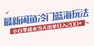 2023最新闲鱼冷门蓝海玩法，小白零成本当天出单日入200+-享创网