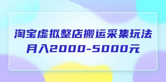 淘宝虚拟整店搬运采集玩法分享课：月入2000-5000元（5节课）-享创网