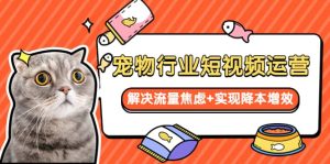 宠物/行业短视频运营 流量增长的一层窗户纸 解决流量焦虑+实现降本增效-享创网