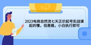 2023电商自然流七天正价起号实战课：起的慢，但是稳，小白执行即可-享创网