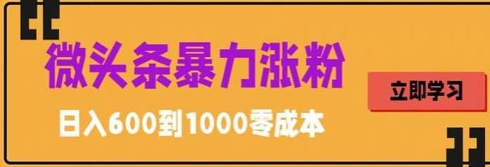 微头条暴力涨粉技巧搬运文案就能涨几万粉丝，简单0成本，日赚600-享创网