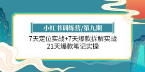 小红书训练营/第九期：7天定位实战+7天爆款拆解实战，21天爆款笔记实操-享创网