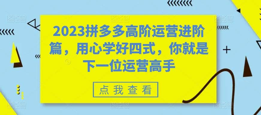 2023拼多多高阶运营进阶篇，用心学好四式，你就是下一位运营高手-享创网