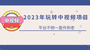 2023一心0基础玩转中视频项目:平台不倒,一直做到老-享创网