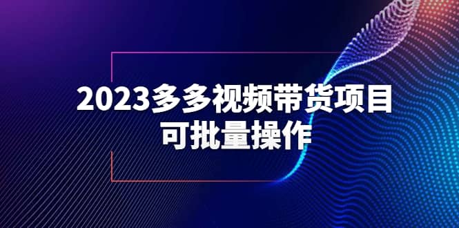 2023多多视频带货项目，可批量操作【保姆级教学】-享创网