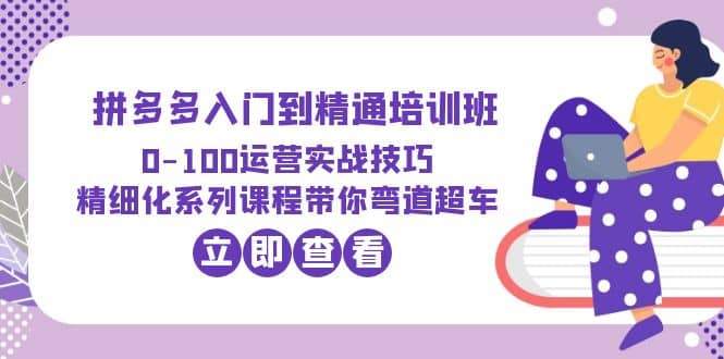 2023拼多多入门到精通培训班：0-100运营实战技巧 精细化系列课带你弯道超车-享创网