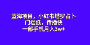 蓝海项目，小红书塔罗占卜，门槛低，传播快，一部手机月入3w+-享创网