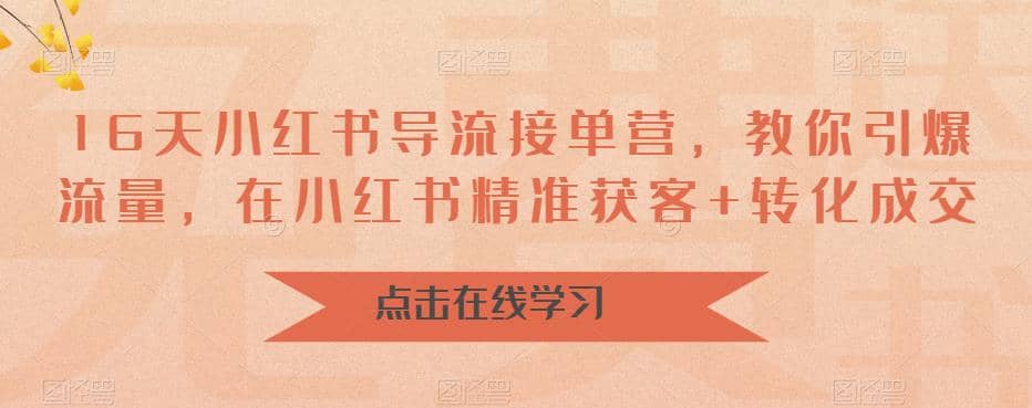 16天-小红书 导流接单营，教你引爆流量，在小红书精准获客+转化成交-享创网
