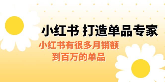 某公众号付费文章《小红书 打造单品专家》小红书有很多月销额到百万的单品-享创网