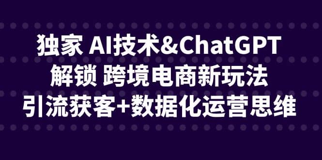 独家 AI技术ChatGPT解锁 跨境电商新玩法，引流获客+数据化运营思维-享创网