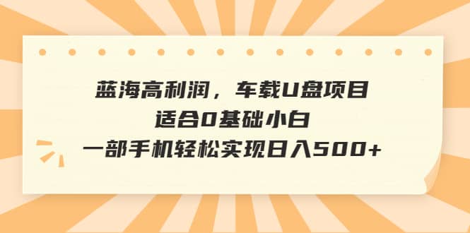 蓝海高利润，车载U盘项目，适合0基础小白，一部手机轻松实现日入500+-享创网