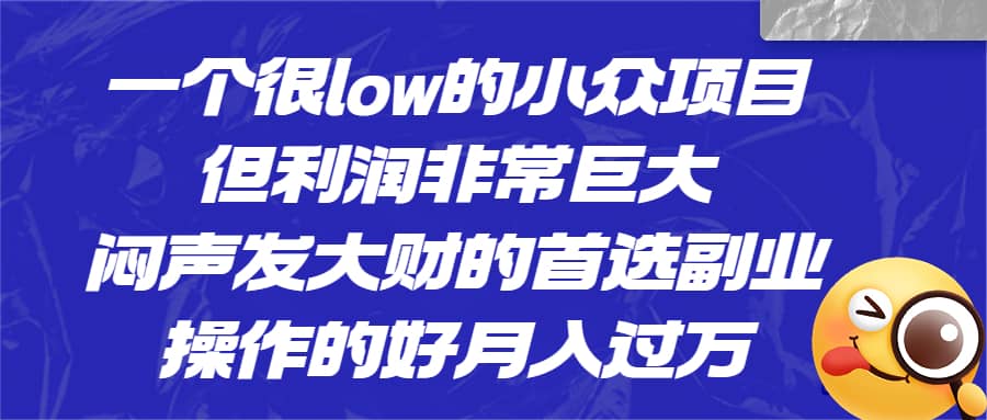 一个很low的小众项目，但利润非常巨大，闷声发大财的首选副业，月入过万-享创网